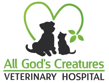 All God's Creatures Veterinary Hospital